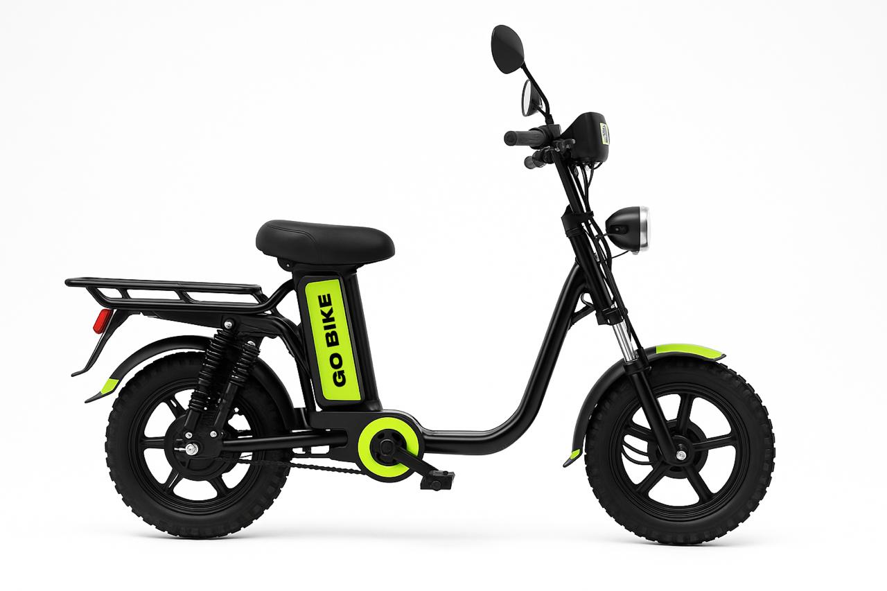 Electric bike